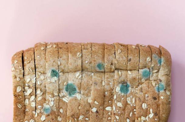 What Happens if You Eat Moldy Bread? Here’s How To Safely Handle the Inevitable Bite...