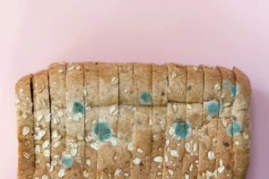 What Happens if You Eat Moldy Bread? Here’s What To Do You When You Accidentally Take a Bite