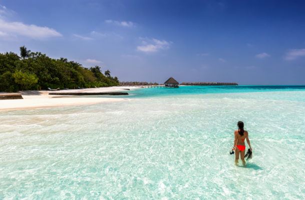 Bookworm Dream-Job Alert: Selling Titles to Tourists in the Maldives