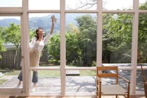 The secret to streak-free windows lies in this everyday household item