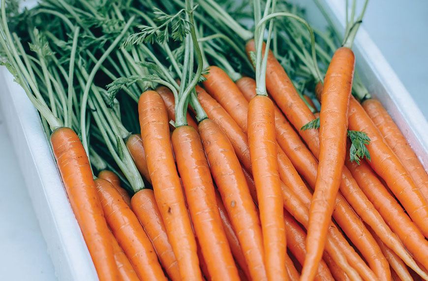 How to keep veggies fresh longer in the fridge