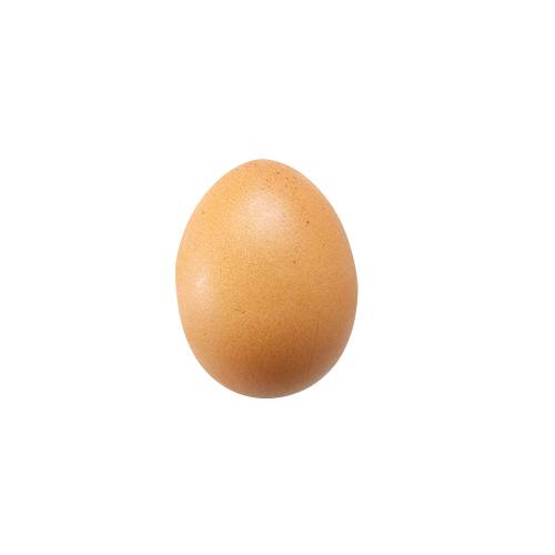 large egg