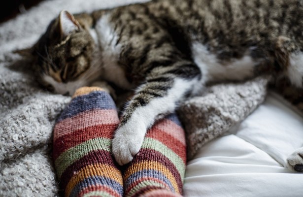 The Only Pairs of Cozy Socks You'll Need This Winter