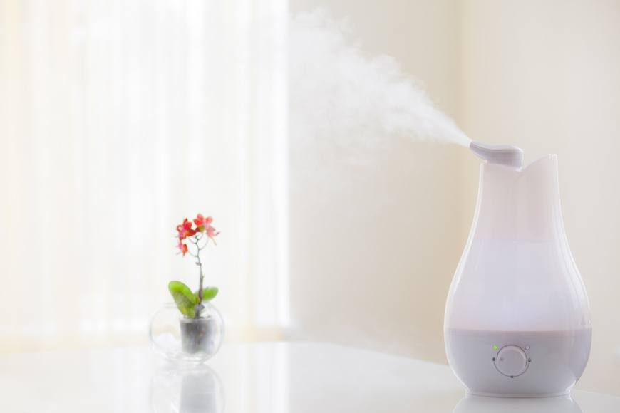 Learn how to clean a humidifier to avoid mold and mildew