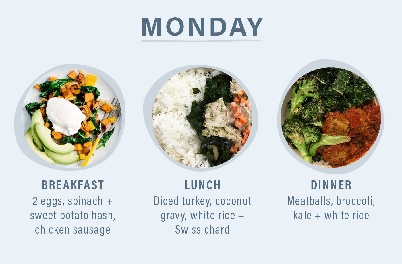 crossfit food diary monday