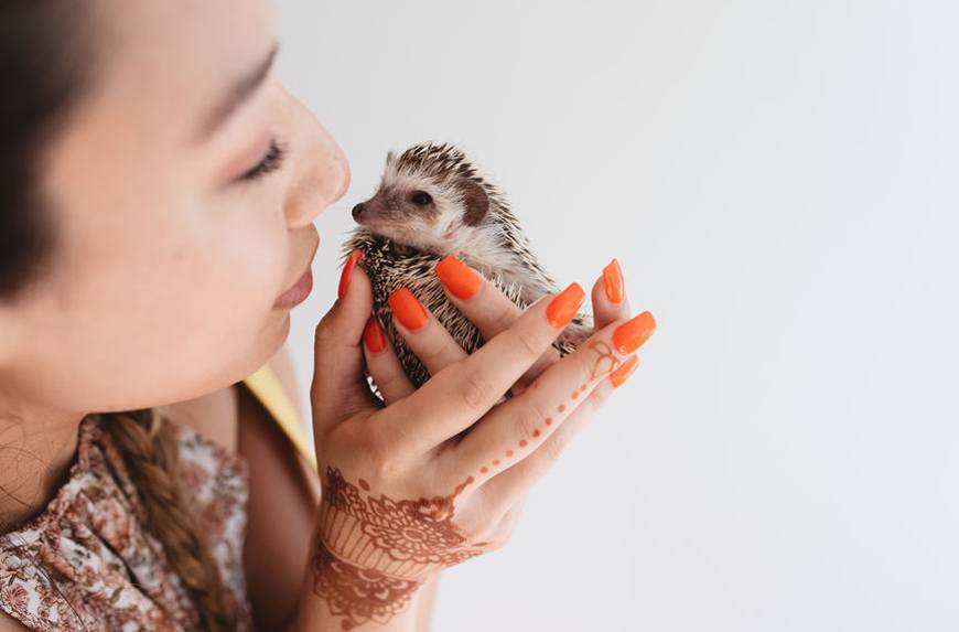 Stop kissing your hedgehog (and other tips for staying healthy when you have pets)