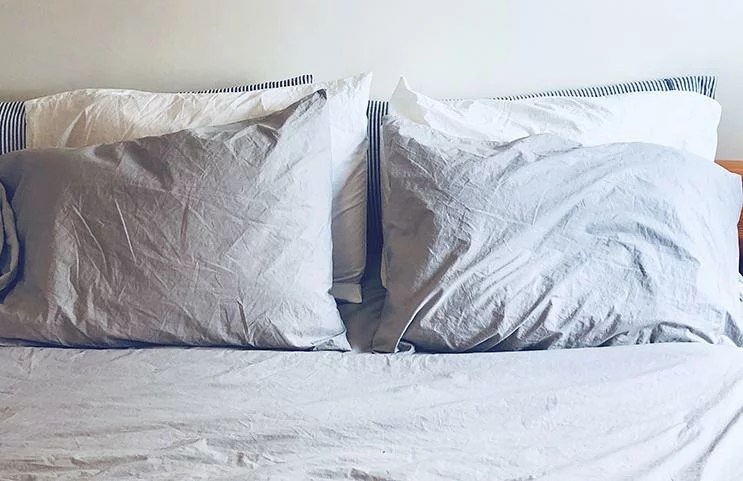 alterra pure bedding