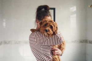 Losing a pet in a breakup is the hardest part of splitting no one talks about—here are tips to deal