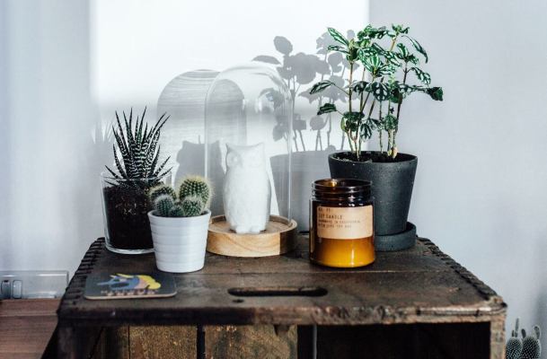 The Trick to Choosing a Quality Scented Candle (and Avoiding Junk That Gives You Headache)
