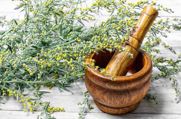 Wormwood Is an Ancient Herb With Lots of Health Promise—Here's What to Know Before Trying...