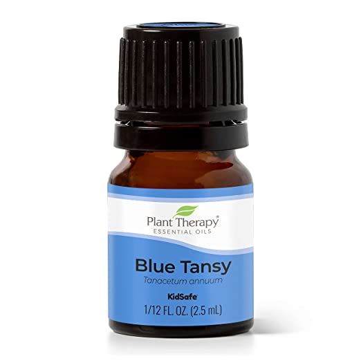 blue tansy