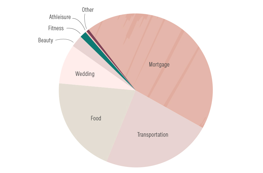 wellness budget graphic
