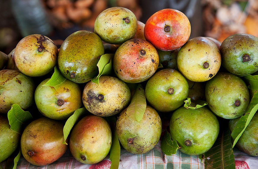 nevis mangoes