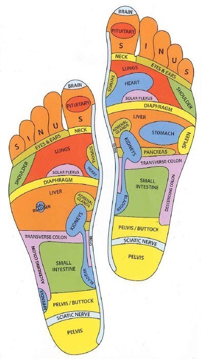 Your guide to the foot reflexology chart for health perks ...