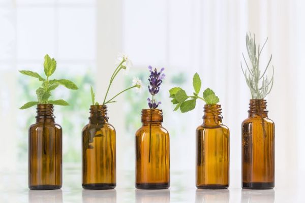 How a Novice Herbalist Uses Plant Medicine in Her Daily Routine