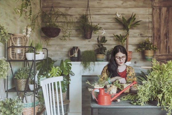 Use Your Zodiac Sign to Determine the Very Best Houseplant for You