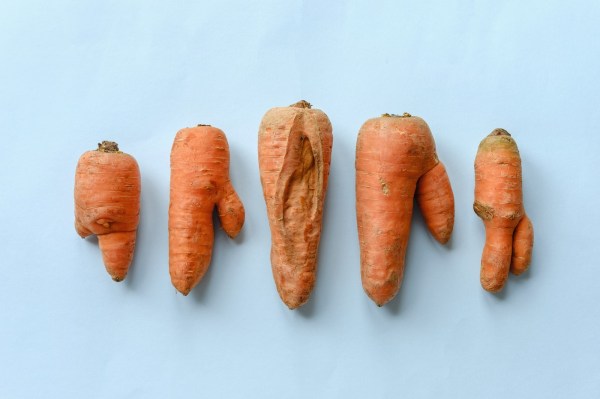 I Spent a Month Eating Only 'Ugly' Vegetables to Help Fight Food Waste