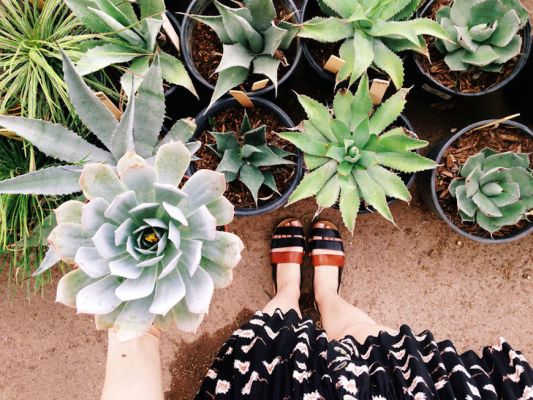 15 Gifts for Every Plant Lover in Your Life, From Your Work Wife to Your...