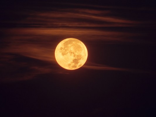 Sunday's Full Hunter Moon Wants You to Take Risks—Here's What That Means for Your Sign