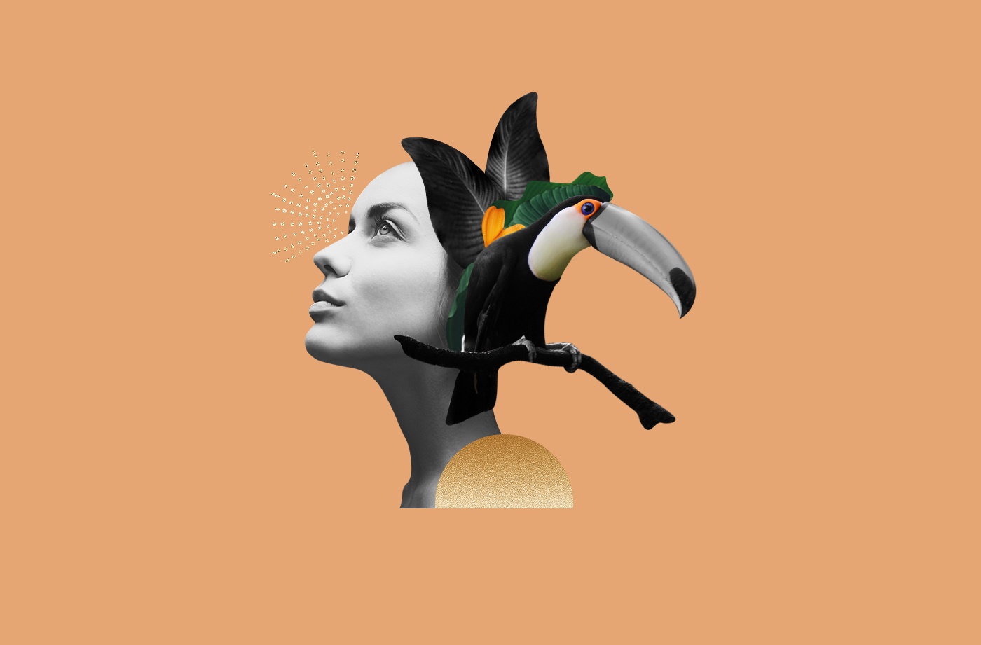 spirit animal toucan