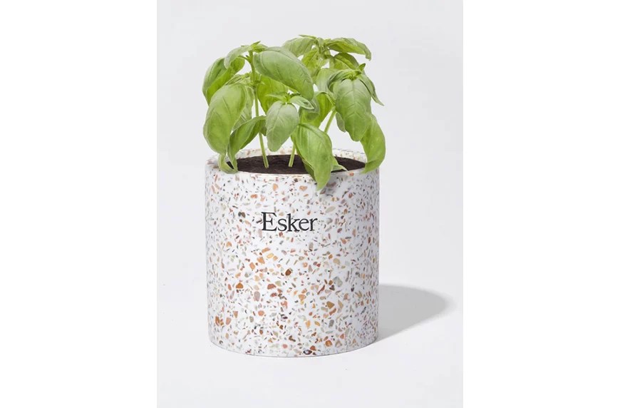 Make these recycled planet-saving plant pots