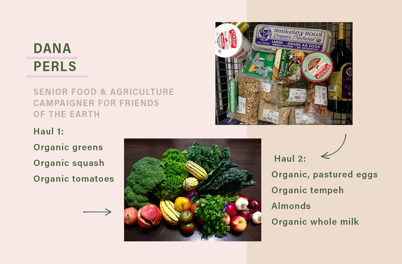 sustainable foods that dana perls adds to grocery cart