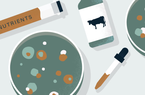 Why Some Experts Think Lab-Grown, 'Cultured' Meat Is the Sustainable Future of Protein