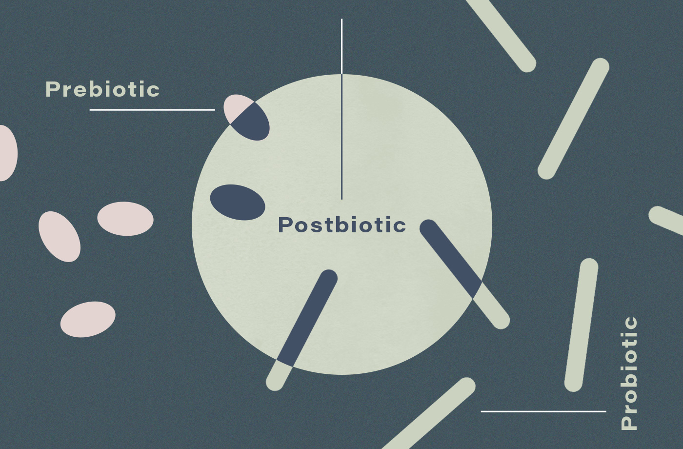 what are postbiotics