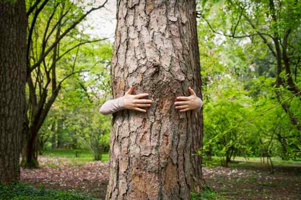These Are the Benefits of Tree Hugging, Straight From a Forest Ranger Who Does It...