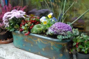 How to make a 3-step astrological garden with plants for zodiac signs