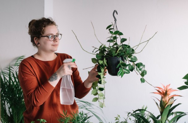 The 6 Most Common Mistakes People Make With Their Indoor Plants