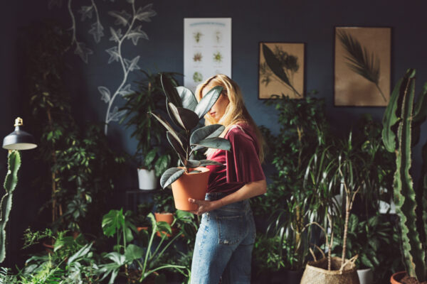 The Best Indoor Garden Ideas for All Kinds of Plant People