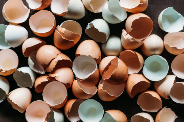 9 Unexpected Eggshell Uses for Your Kitchen, Garden, and More