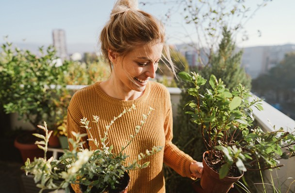 'Companion Planting' Is the Greenest Way to Make Your Herb Garden Thrive