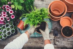 Gardening is actually a sneaky form of meditation—here's the reward you'll get from it