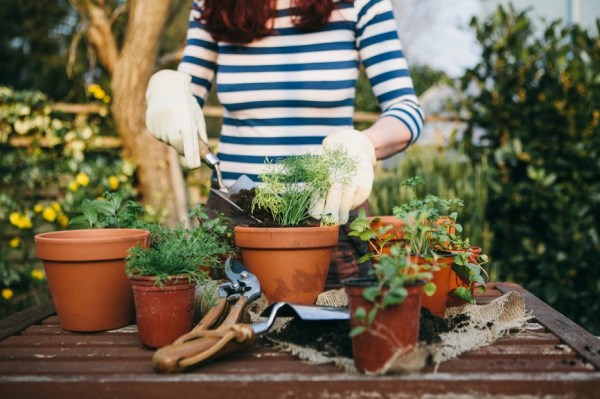 8 Online Gardening Classes and Workshops That'll Give You the Greenest Thumb