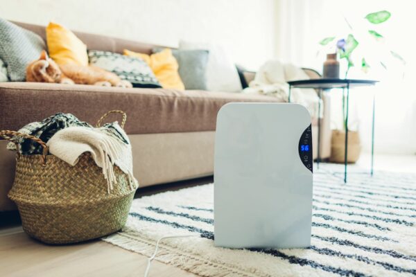 What’s the Difference Between a Humidifier, a Dehumidifier, and an Air Purifier?