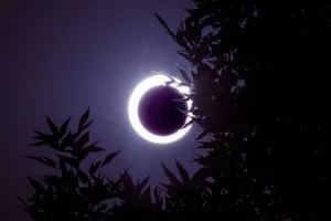 What This Weekend’s 'Ring of Fire' Solar Eclipse Means for Your Astrological Sign