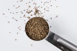 5 Celery Seed Benefits That Make It a Truly Underrated Spice