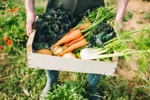 These CSAs Deliver Fresh Meat and Produce From the Farm Straight to Your Door