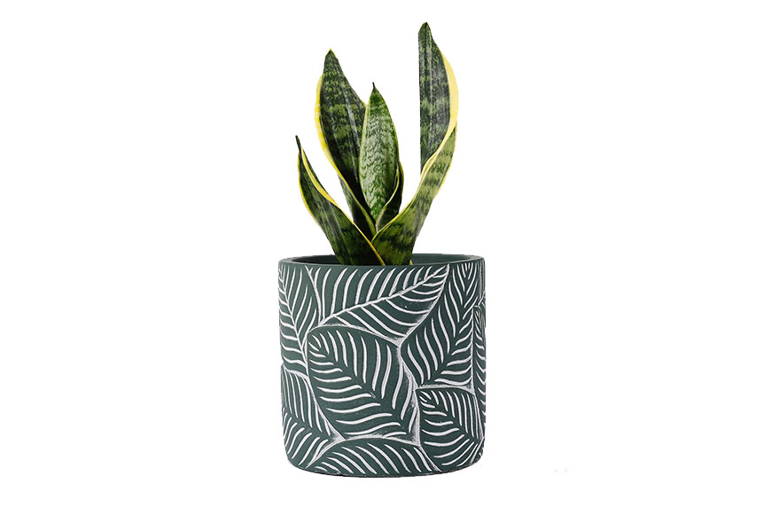 11 Unique Pots To Complement Your Most Beautiful Plants – The Very