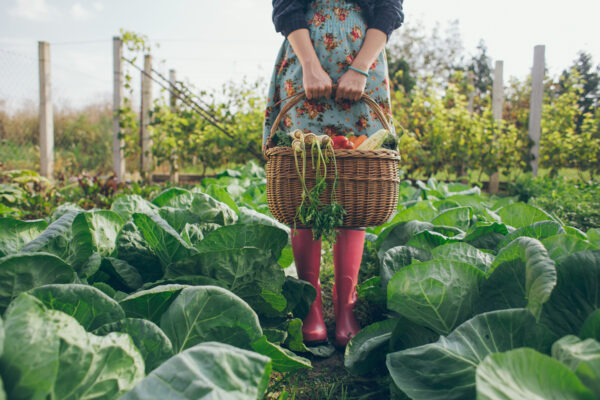 Gardening Can Improve Your Mental Health—Here's How To Do It for Free