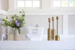 The Powerful Combination of '15-Minute Wins' and the One-Box Method for Your Cleanest Home Yet