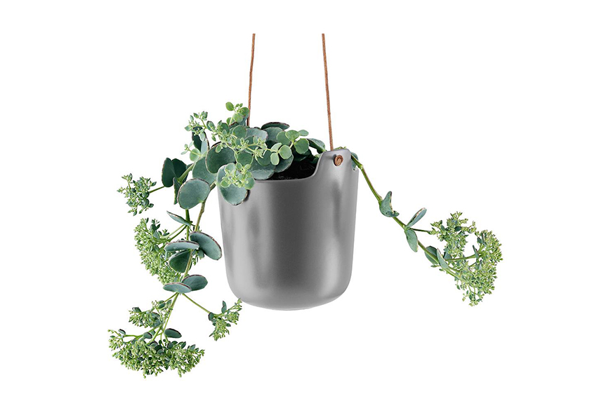 self-watering pots
