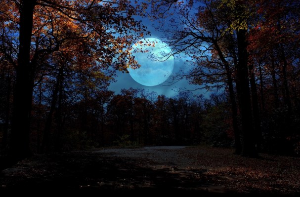 The Rare Halloween Full Blue Moon Has Life-Changing Energy—Here's What To Expect for Your Sign