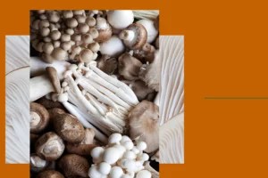 Adaptogenic ‘Shrooms Will Enjoy Even More Function in 2021