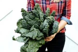 6 Healthy Winter Vegetables That Don't Require a Whole Lot of Space To Grow