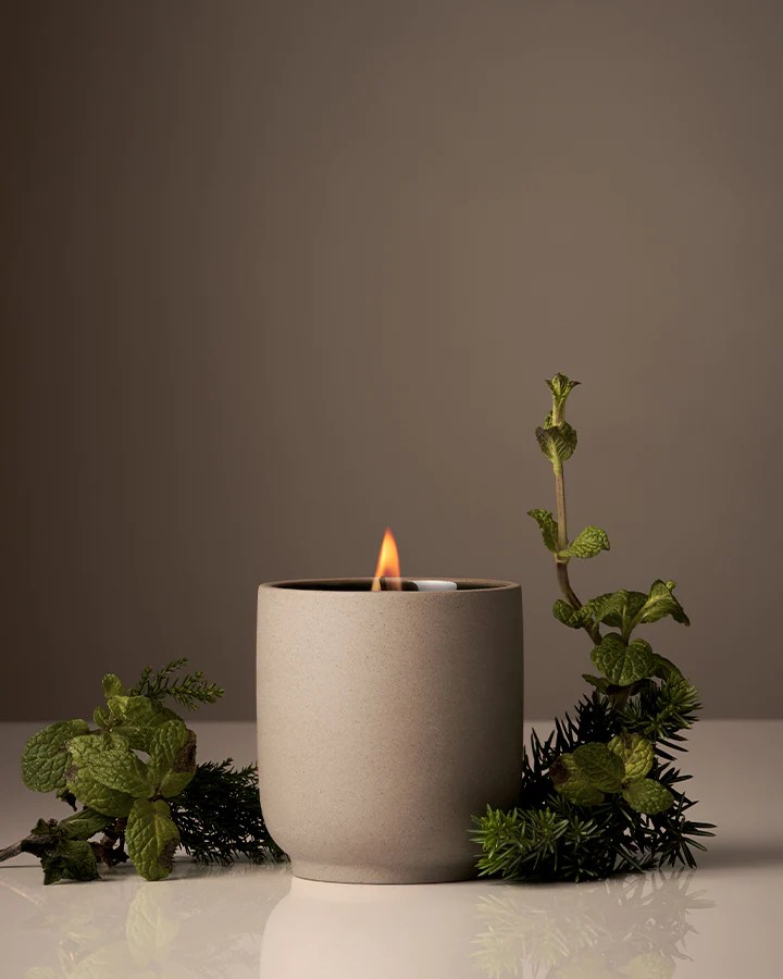 homecourt mint candle vessel surrounded by mint leaves