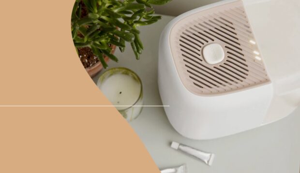 4 Mist-Free Humidifiers To Save Your Skin and Airways From Dry Winter Air
