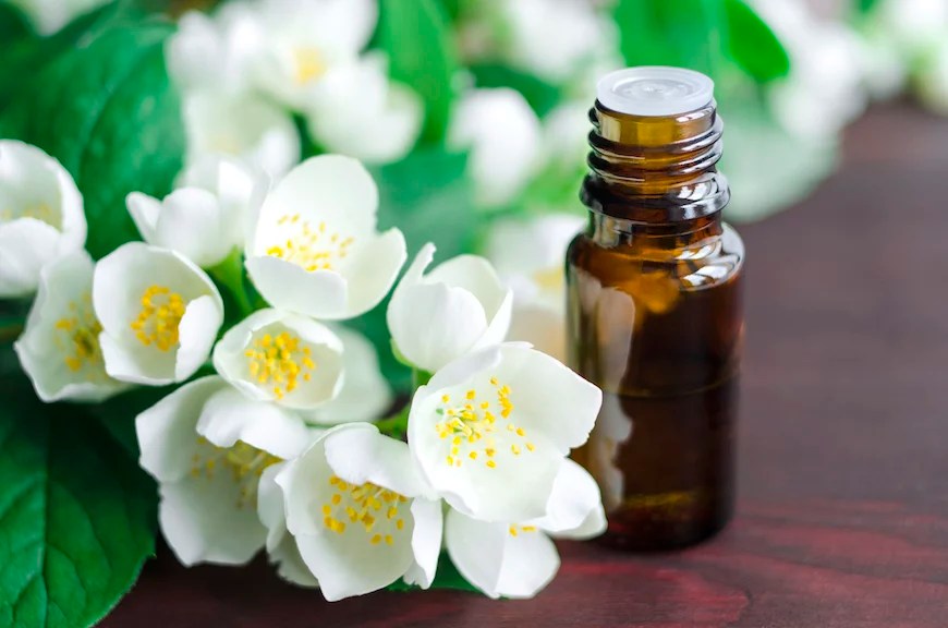 Jasmine Fragrance Oil for Candles, Perfumes and Cosmetics
